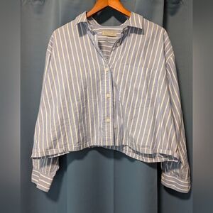 Everlane cropped boxy Oxford